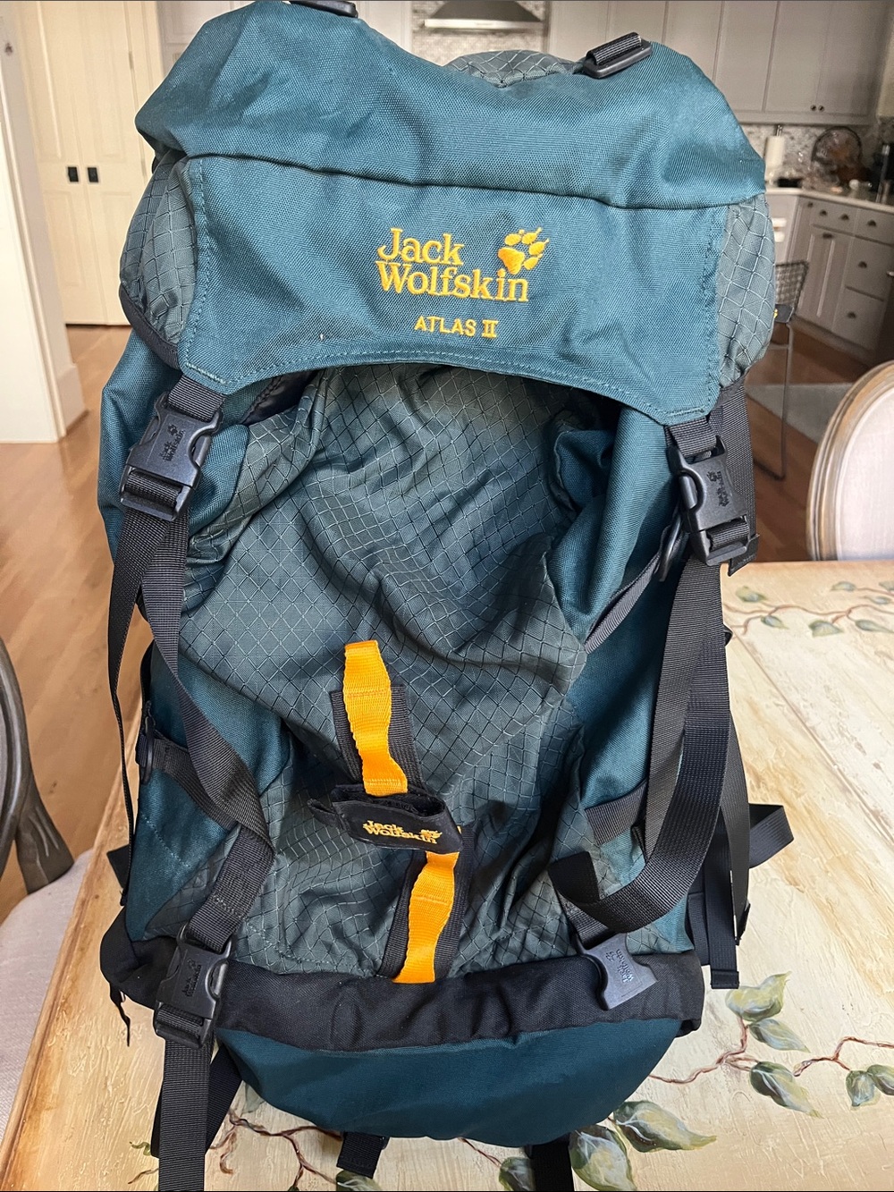 Jack Wolfskin Atlas II Backpack in Teal with Yellow Accents